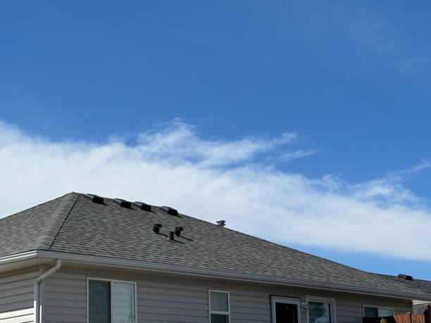 Best Storm Damage Roof Repair  in Telford, TN